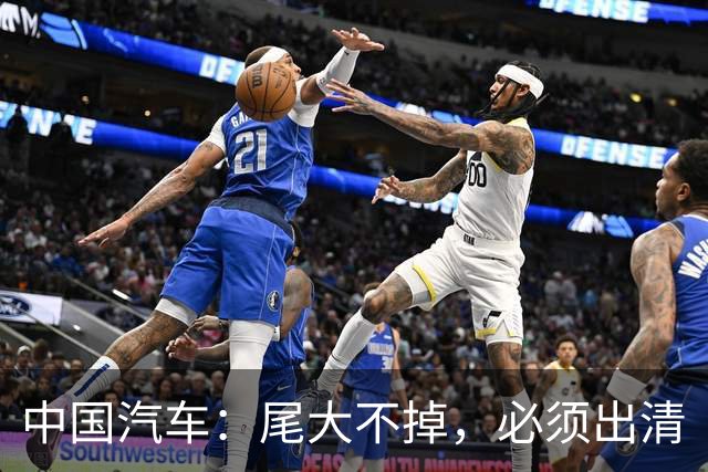 中国汽车：尾大不掉，必须出清