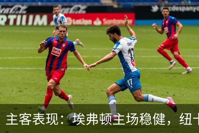 主客表现：埃弗顿主场稳健，纽卡斯尔联客场起伏