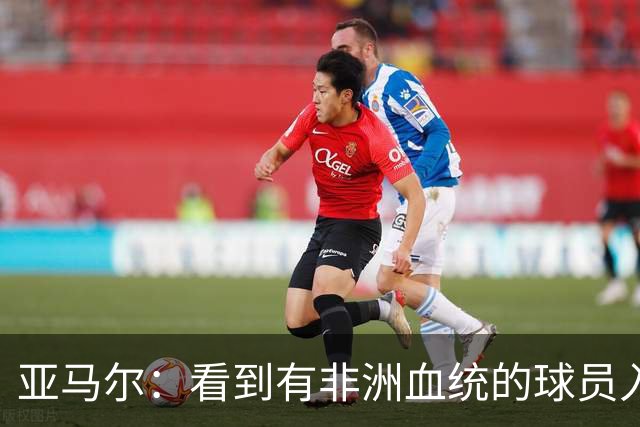 亚马尔：看到有非洲血统的球员入围金球奖候选，我感到很骄傲