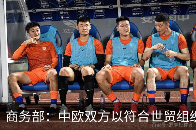 商务部：中欧双方以符合世贸组织规则的方式就混动汽车贸易达成谅解