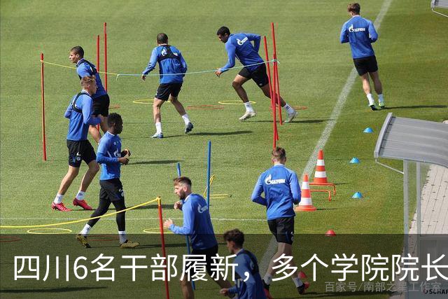 四川6名干部履新，多个学院院长调整