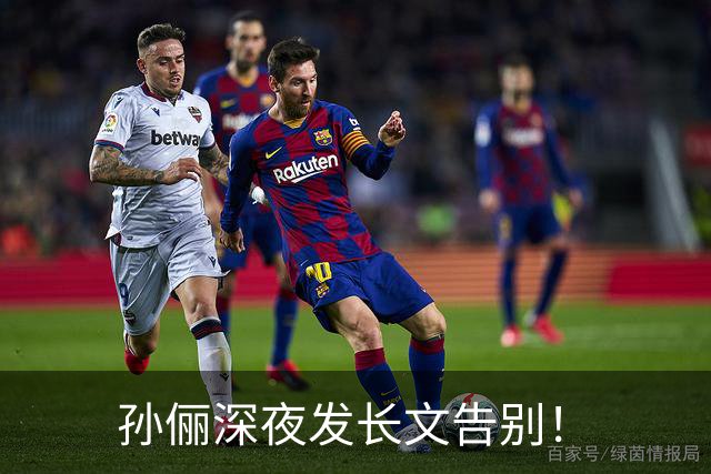 孙俪深夜发长文告别！