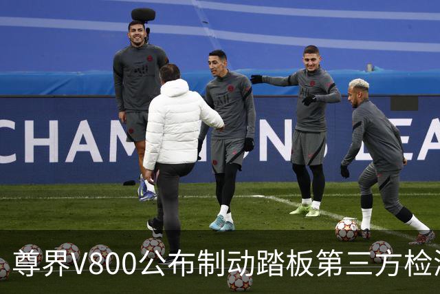 尊界V800公布制动踏板第三方检测结果