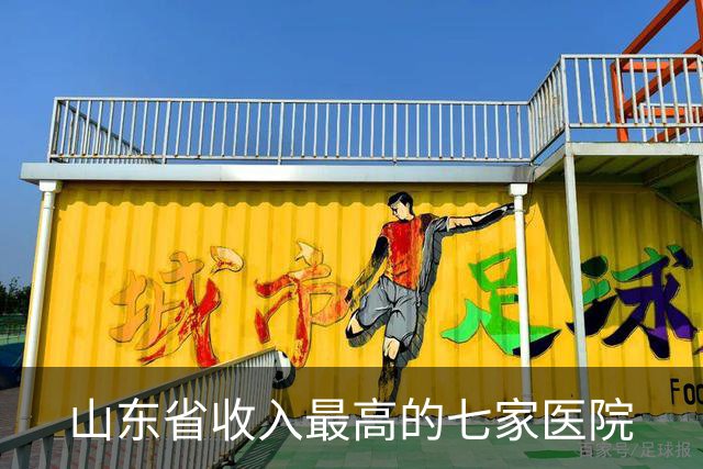 山东省收入最高的七家医院