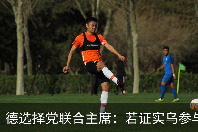 德选择党联合主席：若证实乌参与了北溪管道被炸事件，将面临后果
