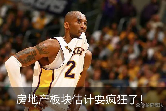 房地产板块估计要疯狂了！