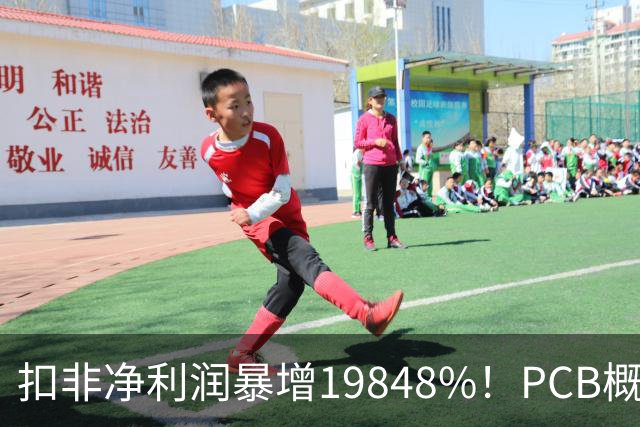 扣非净利润暴增19848%！PCB概念股，前十大股东新增神秘自然人