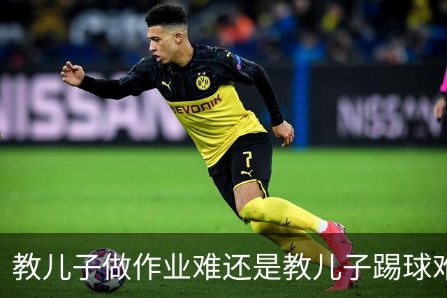 教儿子做作业难还是教儿子踢球难？张琳芃首次回答这个棘手问题