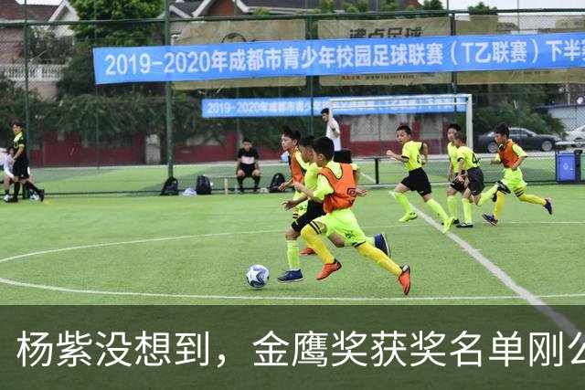 杨紫没想到，金鹰奖获奖名单刚公布，宋佳就因一个举动口碑暴涨