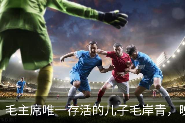 毛主席唯一存活的儿子毛岸青，晚年到底享受怎样的待遇？