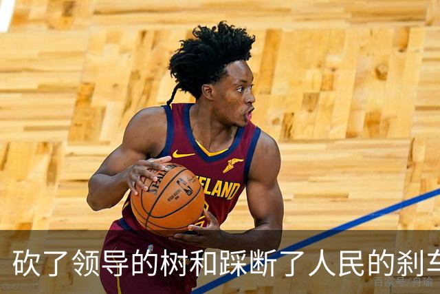 砍了领导的树和踩断了人民的刹车