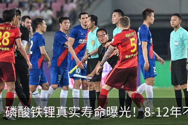 磷酸铁锂真实寿命曝光！8-12年不是标配，全看你怎么造