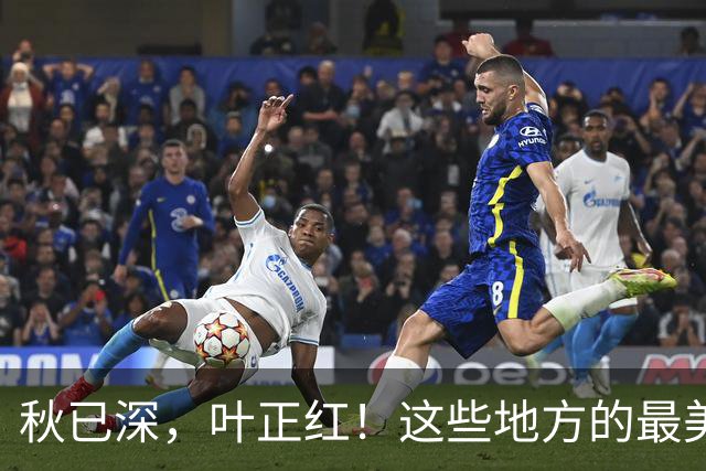 秋已深，叶正红！这些地方的最美秋色已上线→