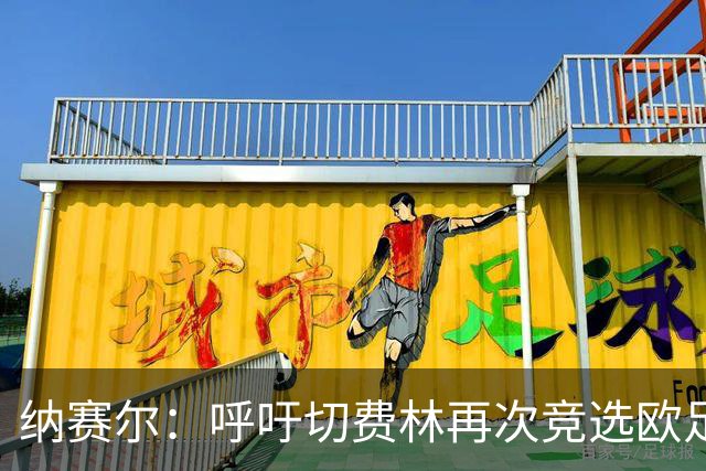 纳赛尔：呼吁切费林再次竞选欧足联主席，我们需要你