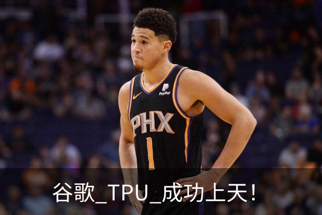 谷歌 TPU 成功上天！