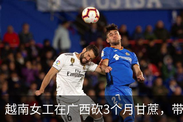 越南女工在广西砍3个月甘蔗，带着钱回村后，邻居都来问同一件事