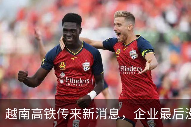 越南高铁传来新消息，企业最后没选中国，花10亿高价买欧洲技术