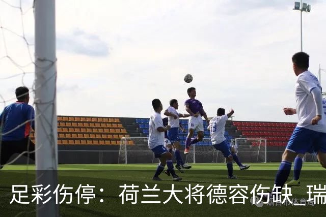 足彩伤停：荷兰大将德容伤缺 瑞典失三大主力