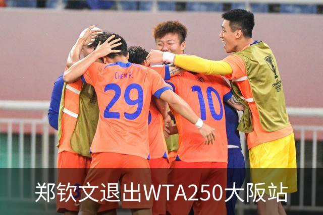 郑钦文退出WTA250大阪站