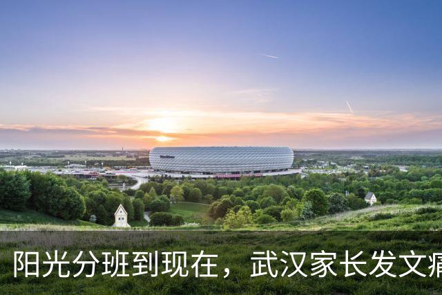 阳光分班到现在，武汉家长发文痛斥