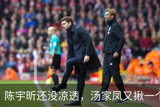 陈宇昕还没凉透，汤家凤又揪一个“精日”人员：竟然还是公司老板