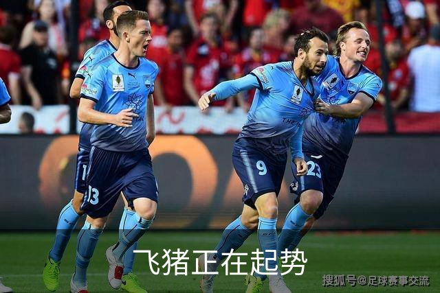 飞猪正在起势