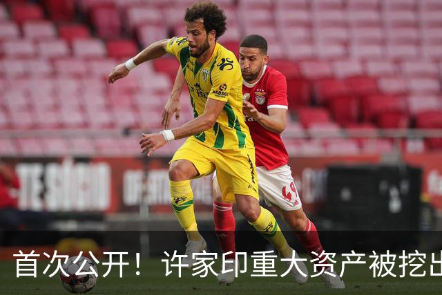 首次公开！许家印重大资产被挖出，186.5亿转给了“重庆李嘉诚”