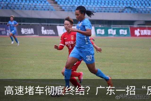 高速堵车彻底终结？广东一招“反向操作”火遍全国
