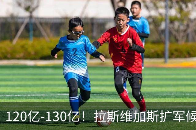 120亿-130亿！拉斯维加斯扩军候选财团出炉：前雄鹿太阳老板在列