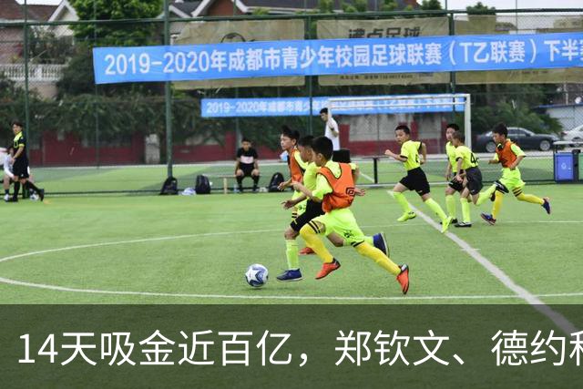 14天吸金近百亿，郑钦文、德约科维奇引爆中网热度